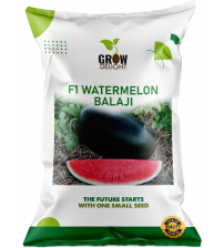 Watermelon F1 Balaji 10 grams